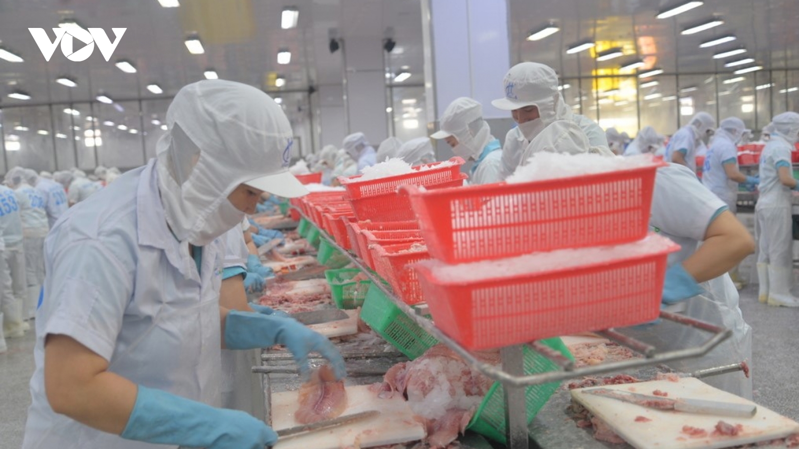 Chuyển đổi số giúp nâng cao sức cạnh tranh cho ngành hàng cá tra Việt Nam